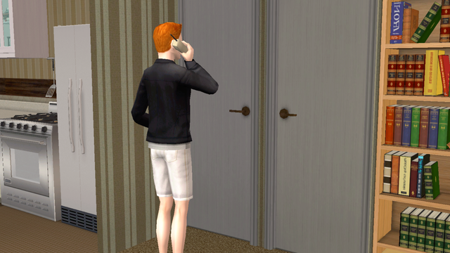 Tempe-On-The-Phone-1