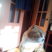 IMG-20220401-090346
