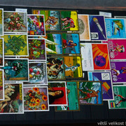 IMG-6841