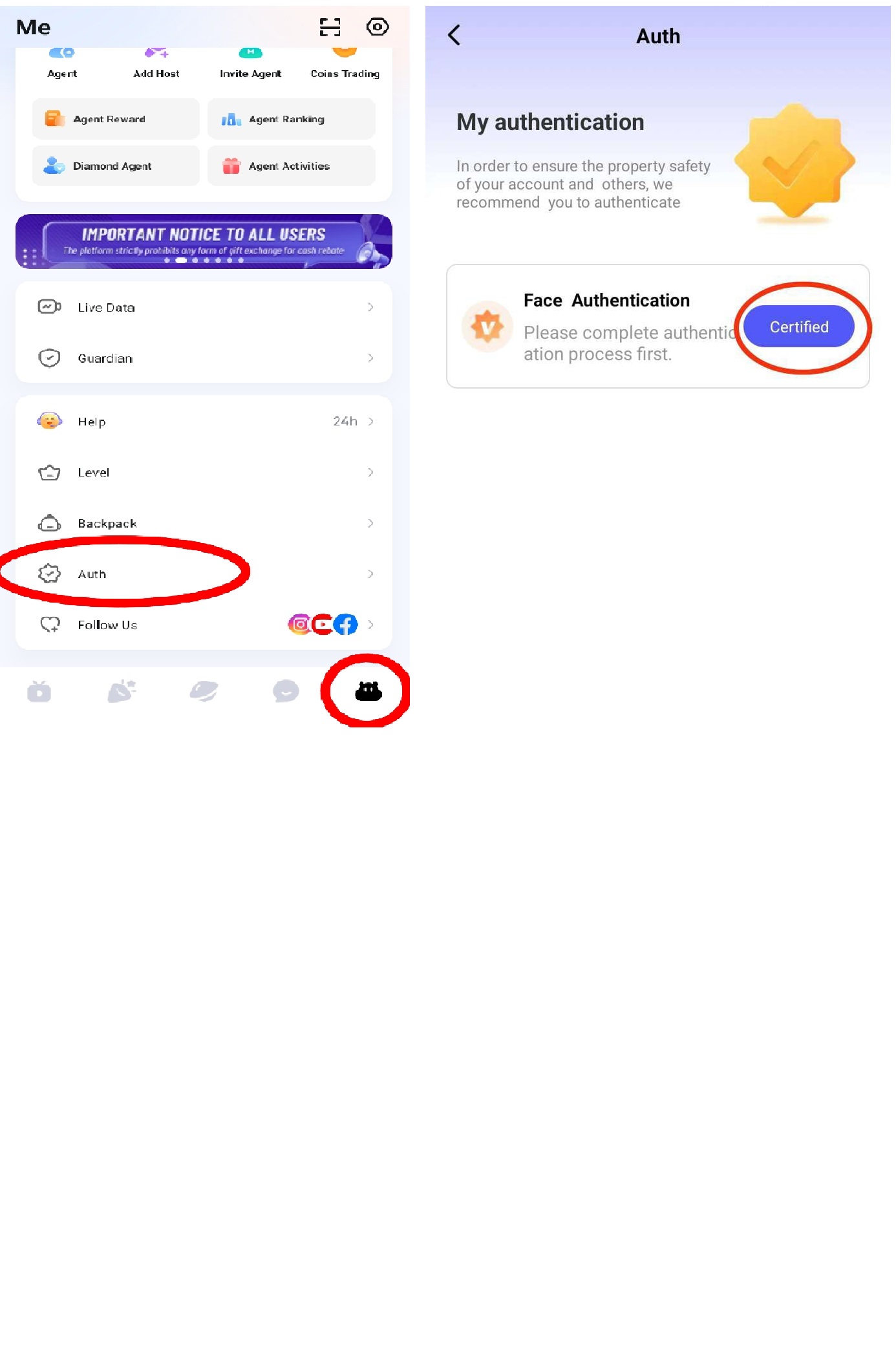 Face Verification