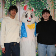 Bunny2026 7
