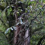 DSC7092