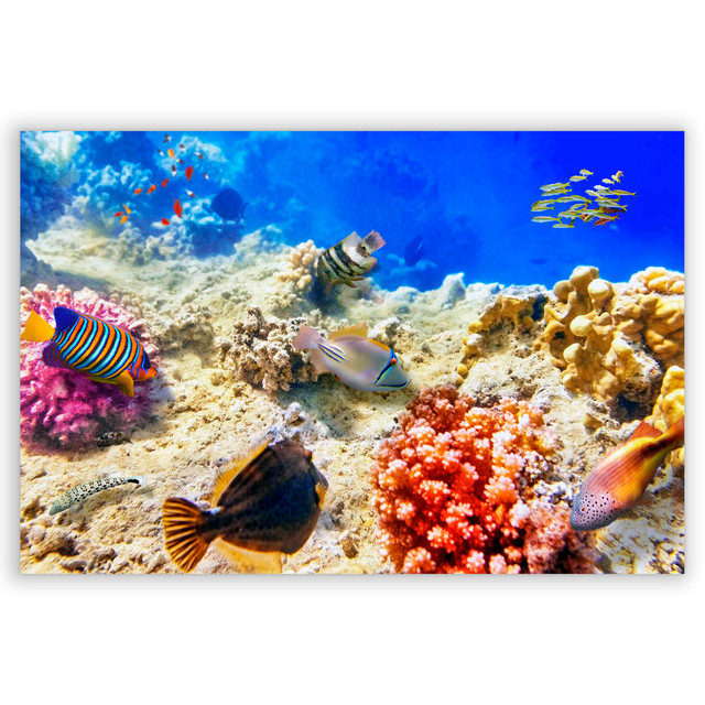 701518-Fundo-do-Mar
