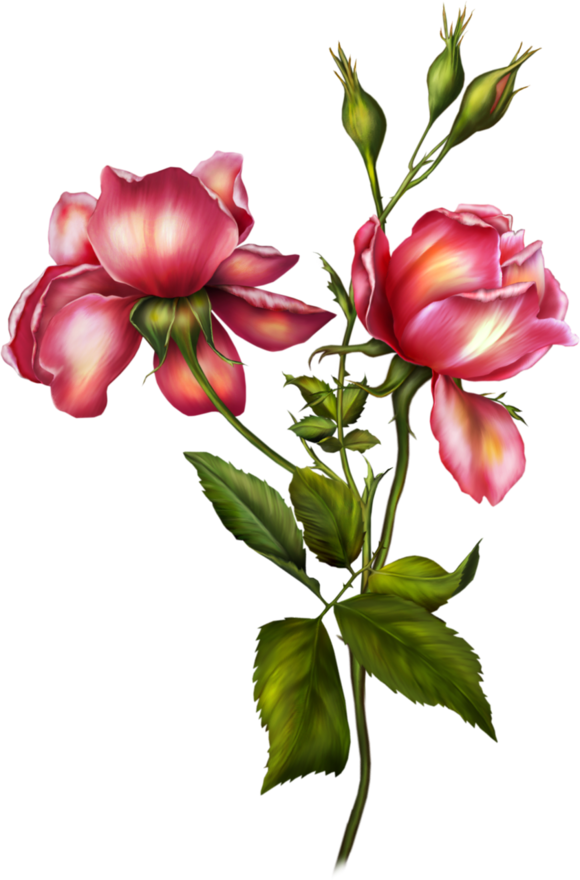 61fa9075f7d6bbf0a9bafb5a3949ba8c.png