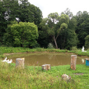 IMG-4006