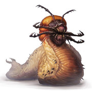Sand-Maggot
