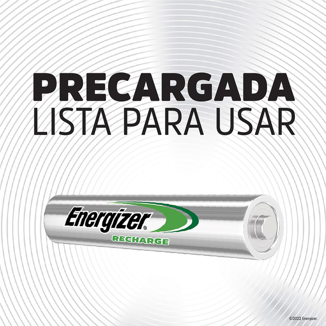 PIENERECAA4-2
