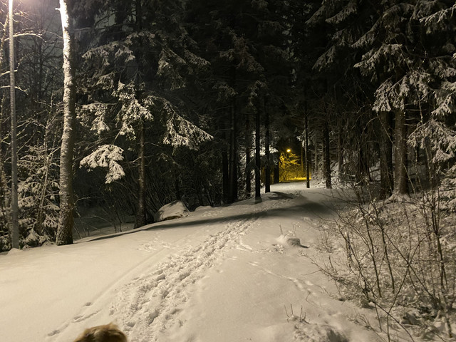 A0-AECCD6-4-B85-4-FF7-9-D28-4-EC1-CB07-B