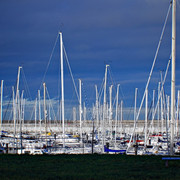 IMGP7042