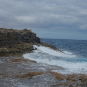 DSCF8612