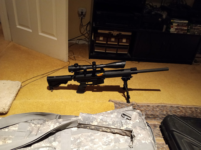 DPMSAR10308w