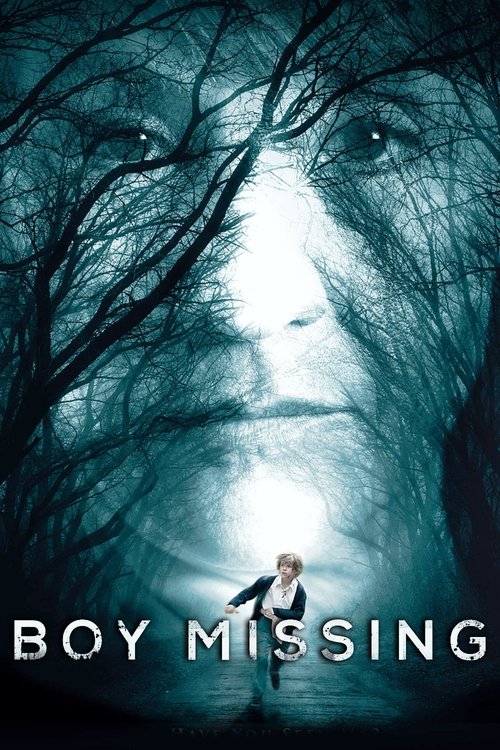 Zaginiony Chłopiec / Boy Missing (2016) 1080p.WEB-DL.H264.AC3.2.0.BP007 | Lektor PL