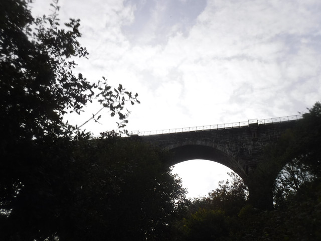 DSCF6763.jpg