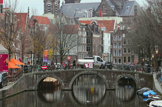 IMGP9460.jpg