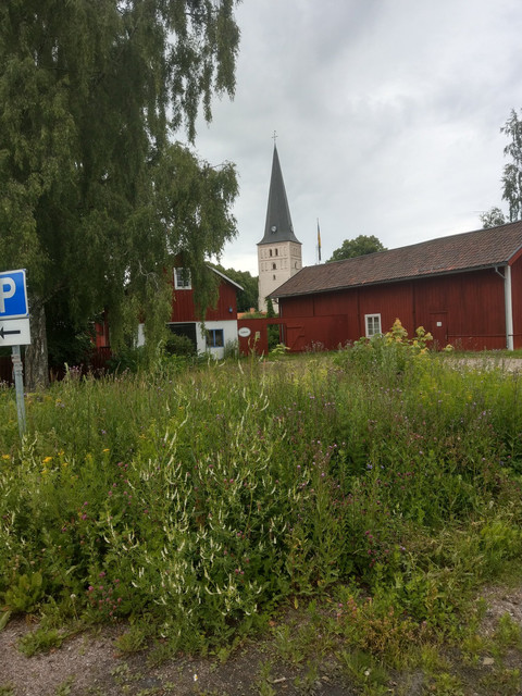 IMAG0659.jpg