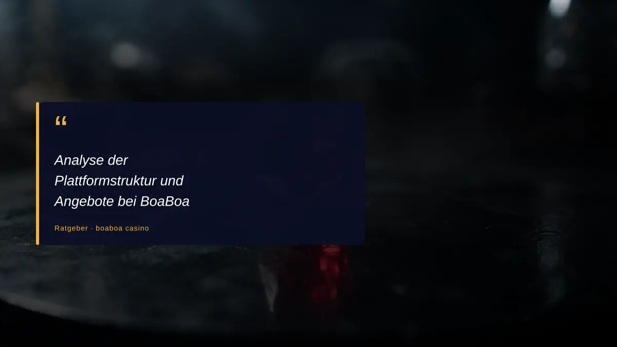 Analyse der Plattformstruktur und Angebote bei BoaBoa