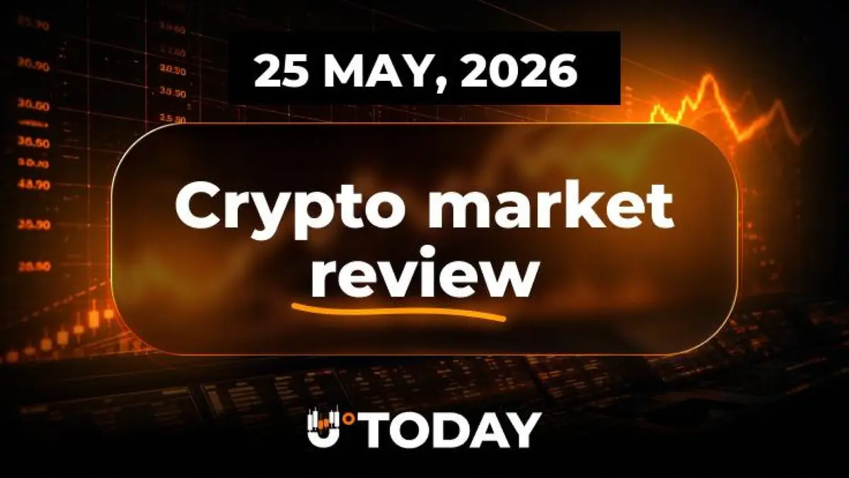 Crypto Market Momentum Shifts