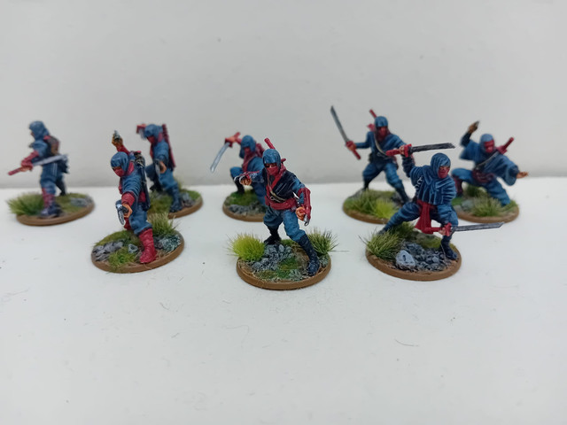 Ninjas 1