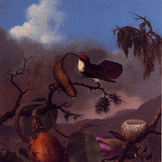 Ruby-Topaz-Hummingbirds