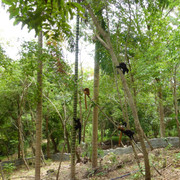 P1080720