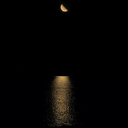 IMG-2287
