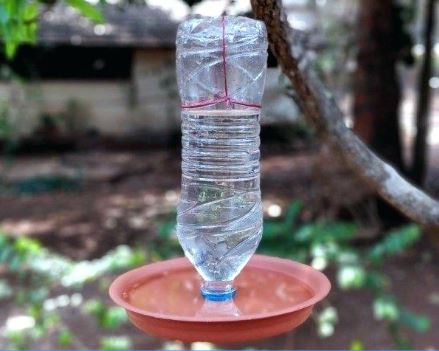 water-feeder2.jpg