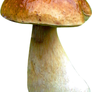 0-a779e-c4f57acb-L