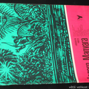 IMG-5426