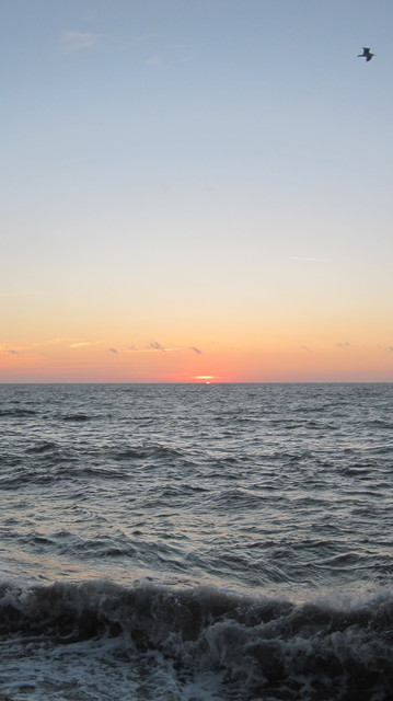 IMG-0667