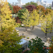 2008-11-17-10