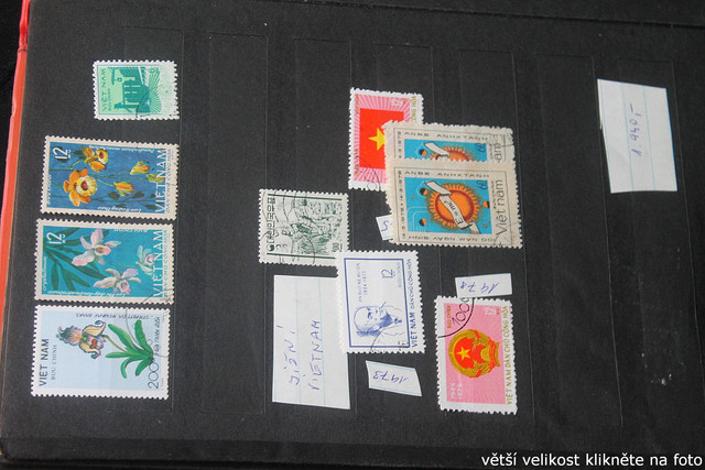 IMG-3798.jpg