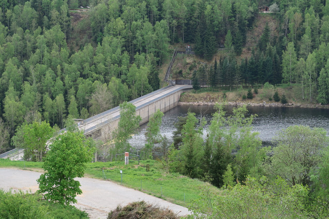 IMG-0515