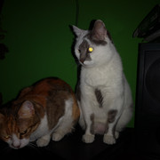 IMG-20220124-025429