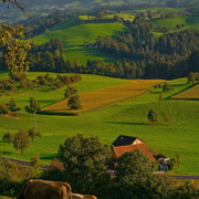 nemacka