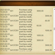 Accounting8-Mextli