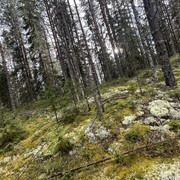 IMG 4796