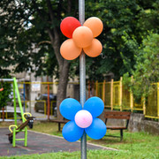 pic-11