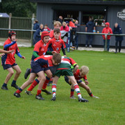 DSC-0270