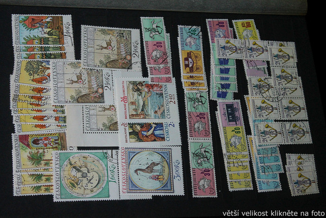 IMG-6884.jpg