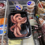 IMG-3751