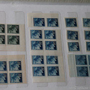 IMG-2105