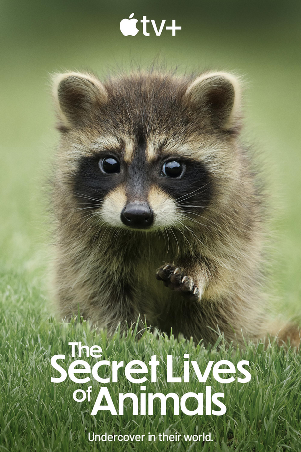 Sekretne życie zwierząt / The Secret Lives of Animals (2024) [SEZON 1] PLSUB.1080p.WEB.H264-MiX / Napisy PL