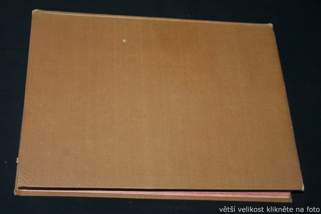 IMG-6372.jpg