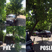 IMG-9946
