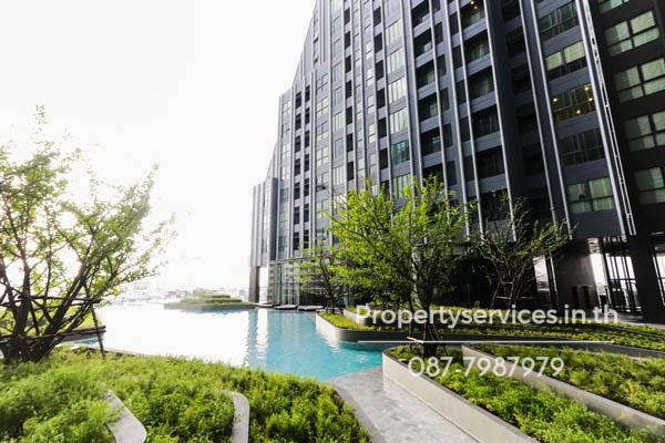 IMG 6647.jpg
