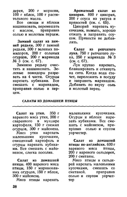 1981-39