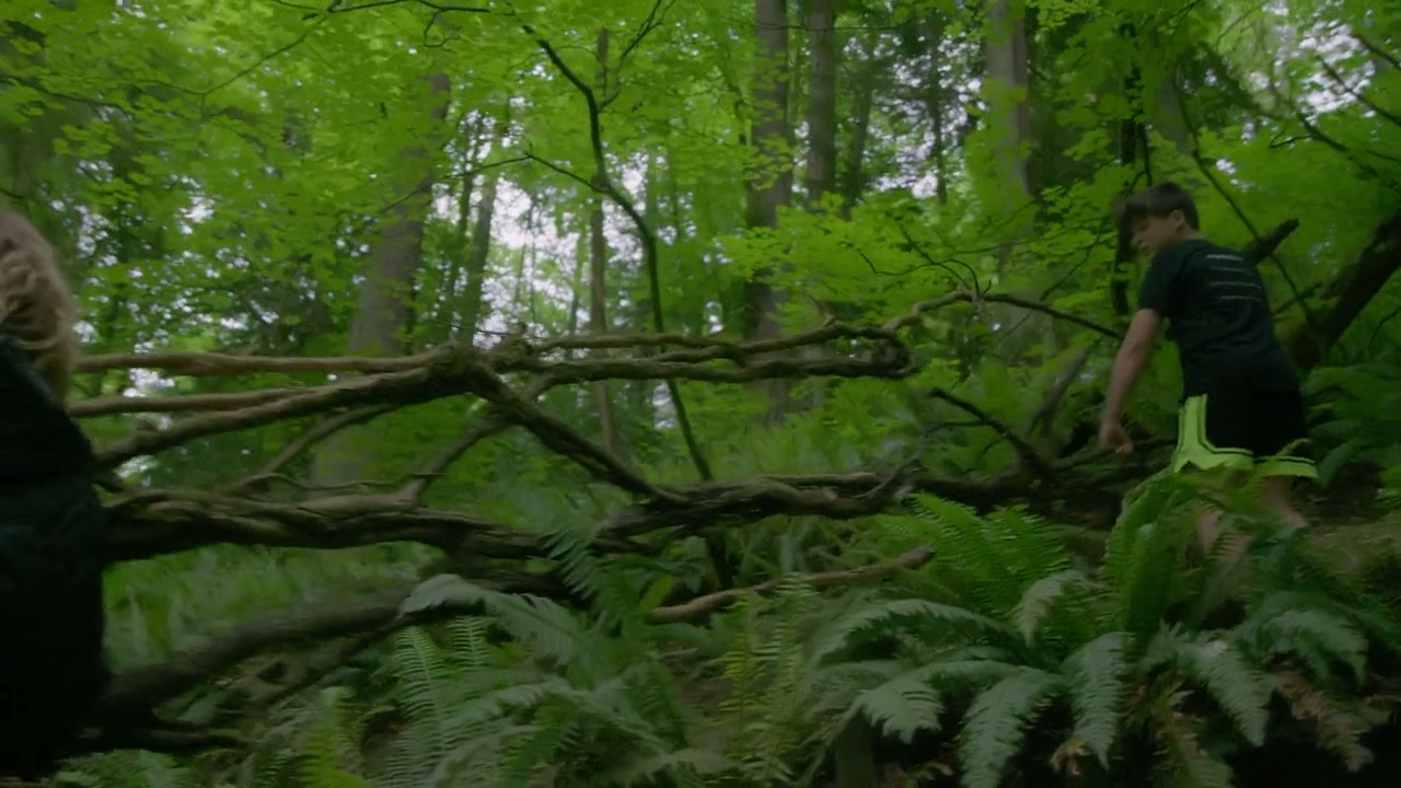 Trees, and Other Entanglements Screenshot