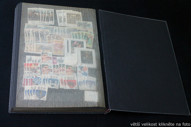 IMG-6893.jpg
