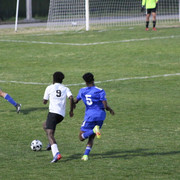 IMG-0161