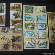 IMG-2249
